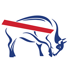 Buffalo Bills
